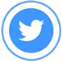 Twitter Icon